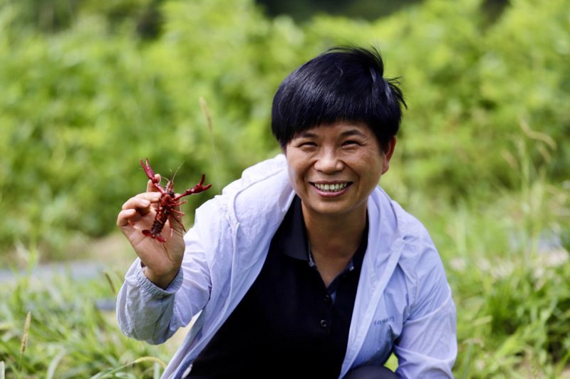 黄山,一个被云雾环绕的世外桃源,不仅以其雄伟的山峰和秀美的自然风光闻名于世,还蕴藏着丰富的自然资源与文化遗产。在这片古老的土地上,休闲农业正逐渐成为一种新的生活方式。