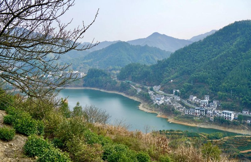 黄山市农业观光:从传统到现代的转变
