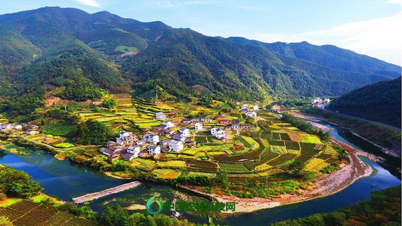 黄山休闲农业:探索自然与人文的完美融合