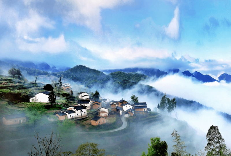 黄山亲子农场:享受自然与亲子时光